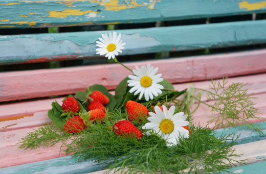 1215479 (a): :2500x1635